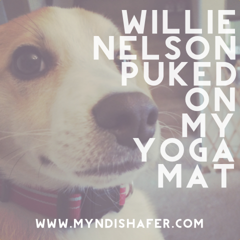 Willie Nelson Puked on my Yoga Mat